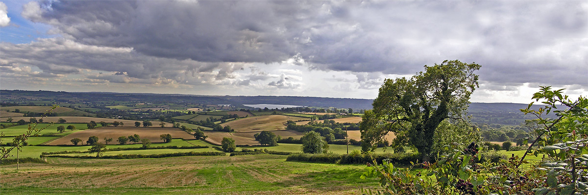 photo "***" tags: panoramic, landscape, autumn, meadow, перспектива