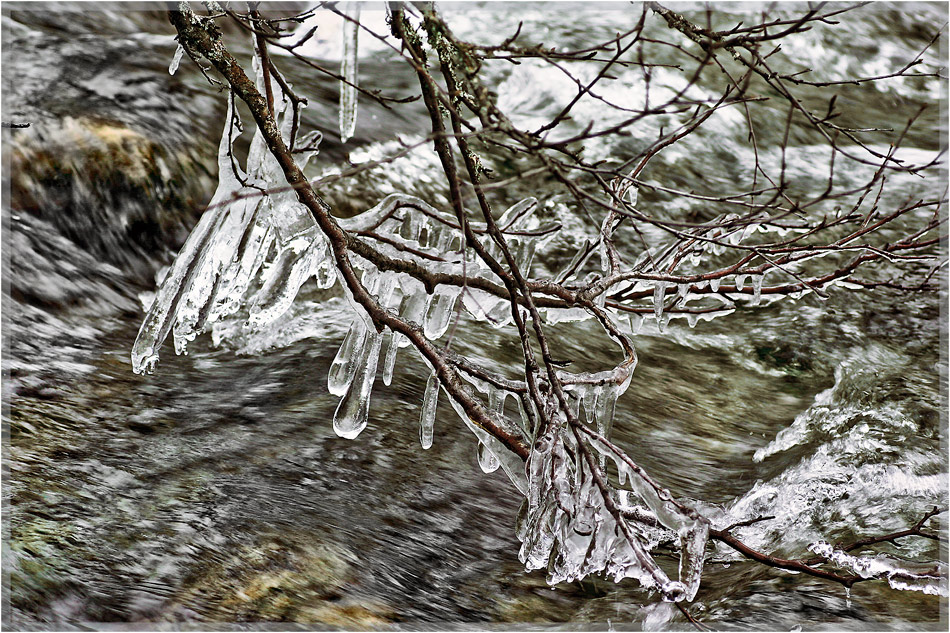 фото "Dancing ice..." метки: макро и крупный план, Ice, вода, зима