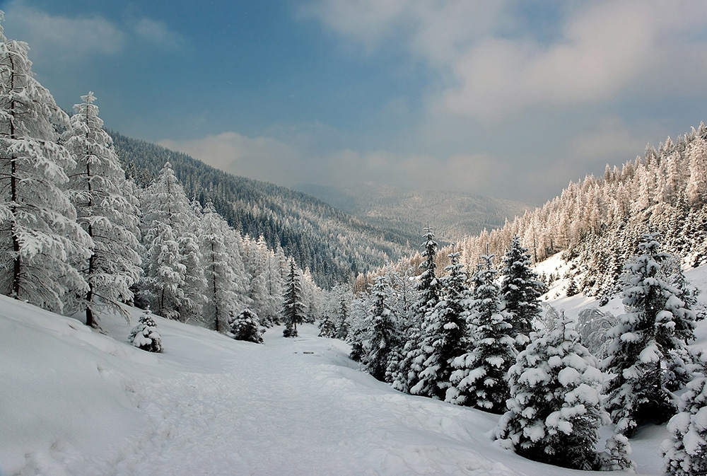 photo "***" tags: landscape, 
