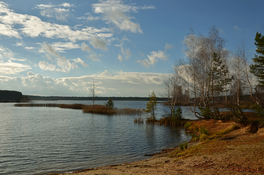 photo "***" tags: landscape, autumn, birches, clouds, coast, lake, листья, песок, сосны