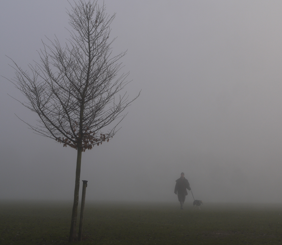 photo "Fog" tags: street, 