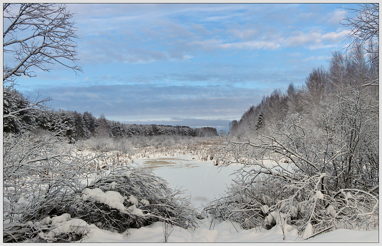 фото "Замерзшее лесное озеро" метки: пейзаж, 