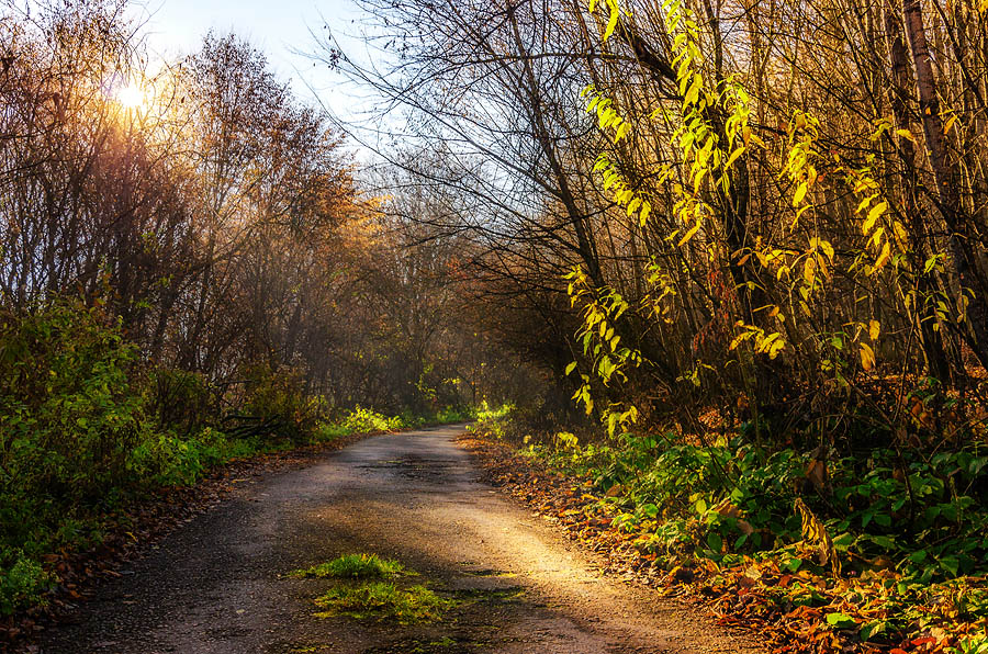 photo "***" tags: landscape, 