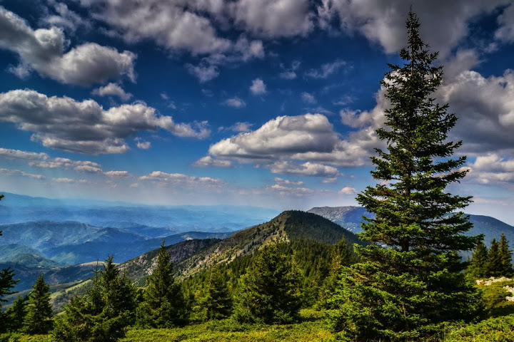 photo "***" tags: landscape, 