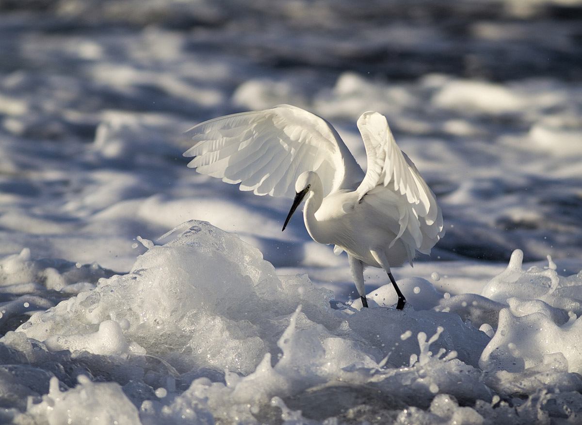 фото "landing" метки: , 