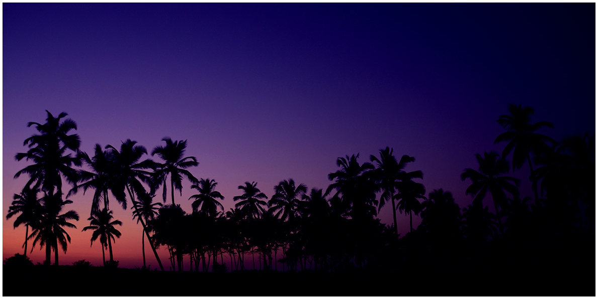 photo "***" tags: landscape, nature, travel, Asia, light, sunset, горизонт, деревня, индия, туризм