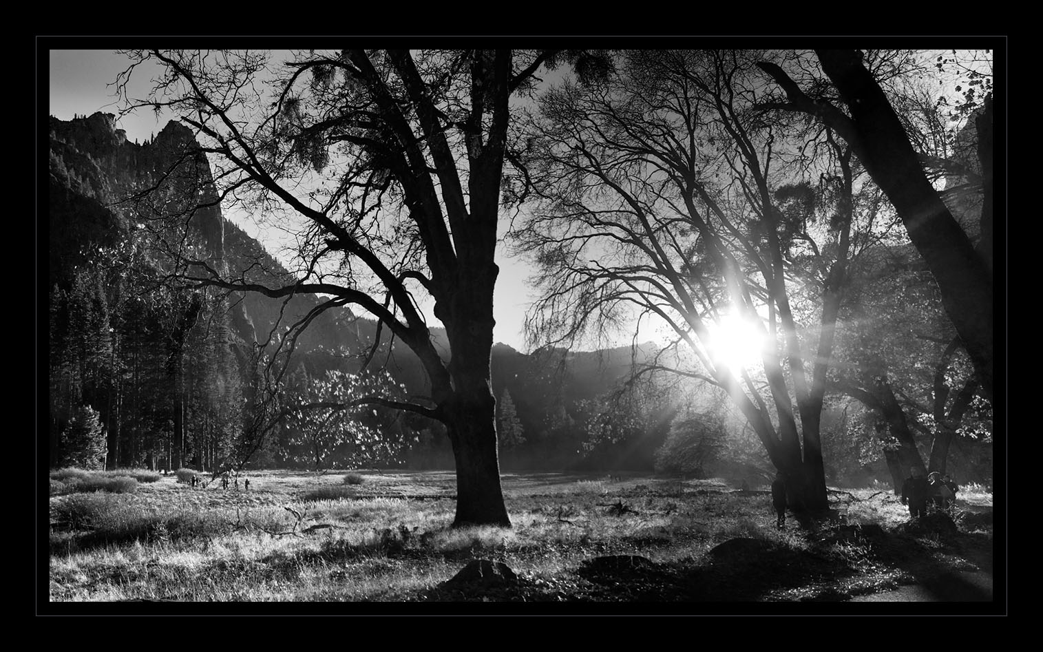 photo "***" tags: landscape, nature, black&white, North America, Yosemite