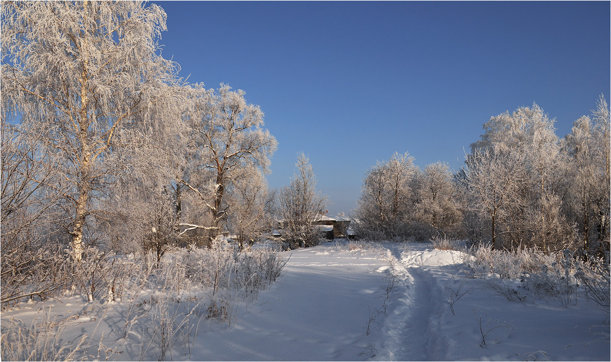 фото "В снежном уборе" метки: пейзаж, березы, зима, иней, снег