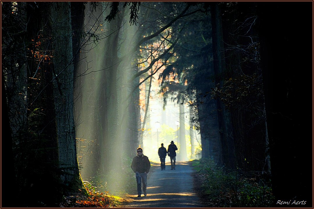 photo "***" tags: landscape, nature, street, autumn, forest, sunrise