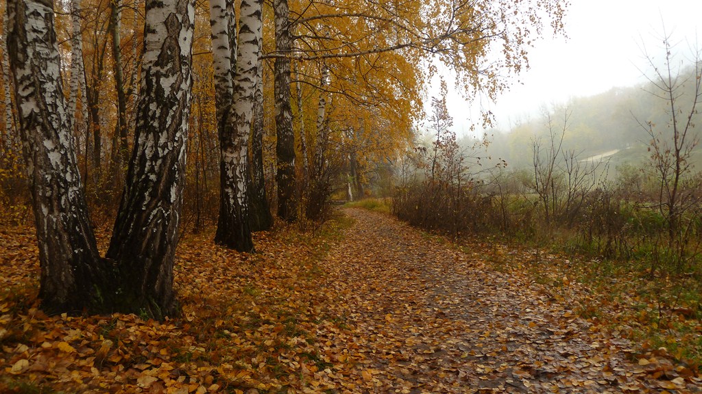 photo "***" tags: landscape, nature, Ukraine, autumn, tree