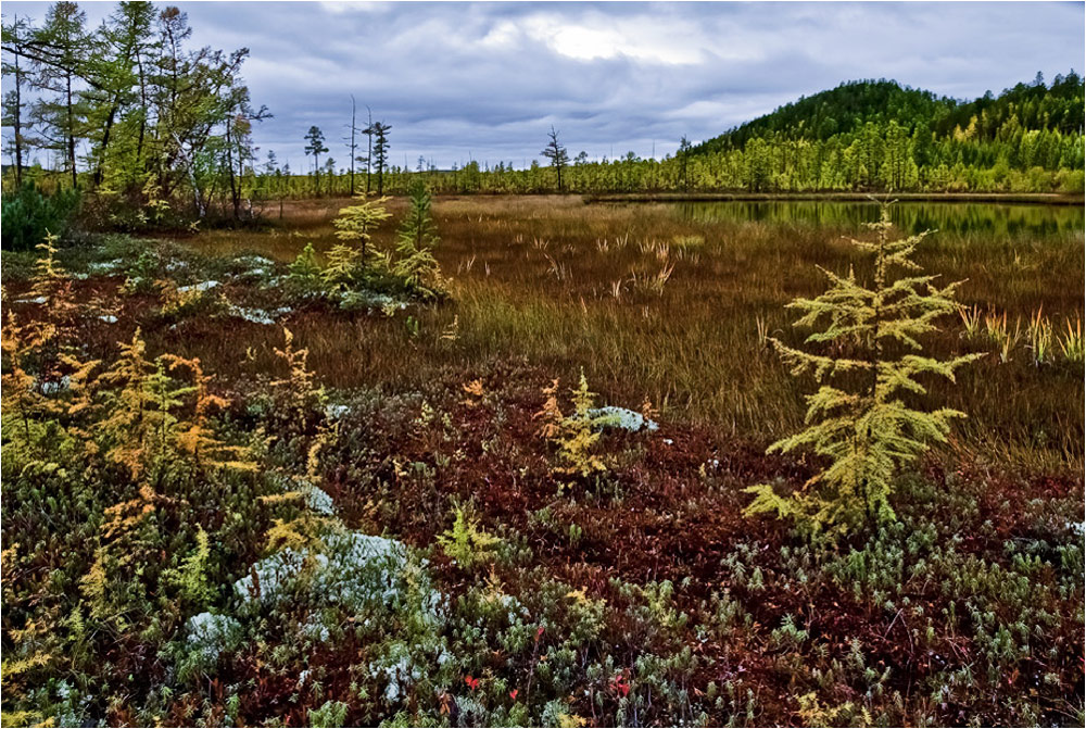 photo "***" tags: landscape, autumn, clouds, forest, lake, mountains, water