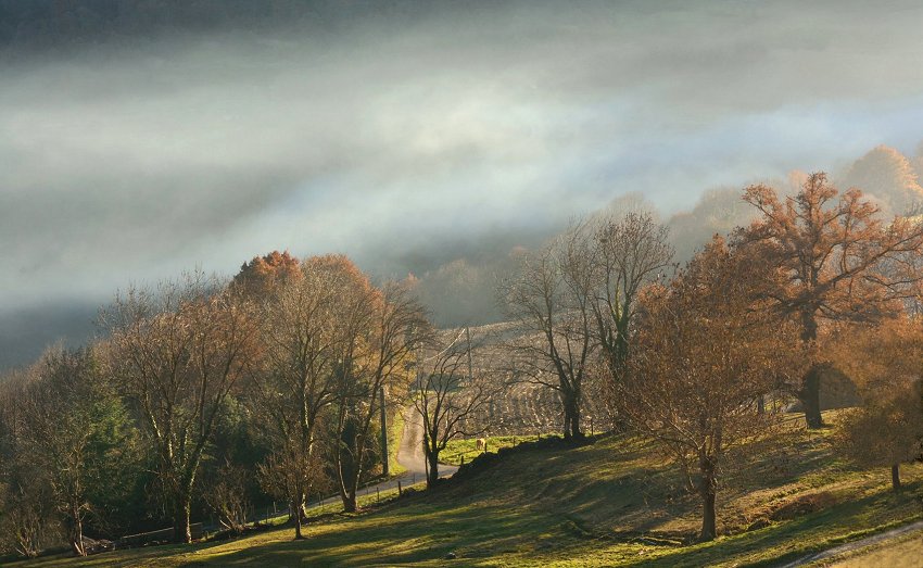 photo "automne" tags: landscape, Europe, artistic, clouds, fine art, landscapes, photography, sky, surrealist