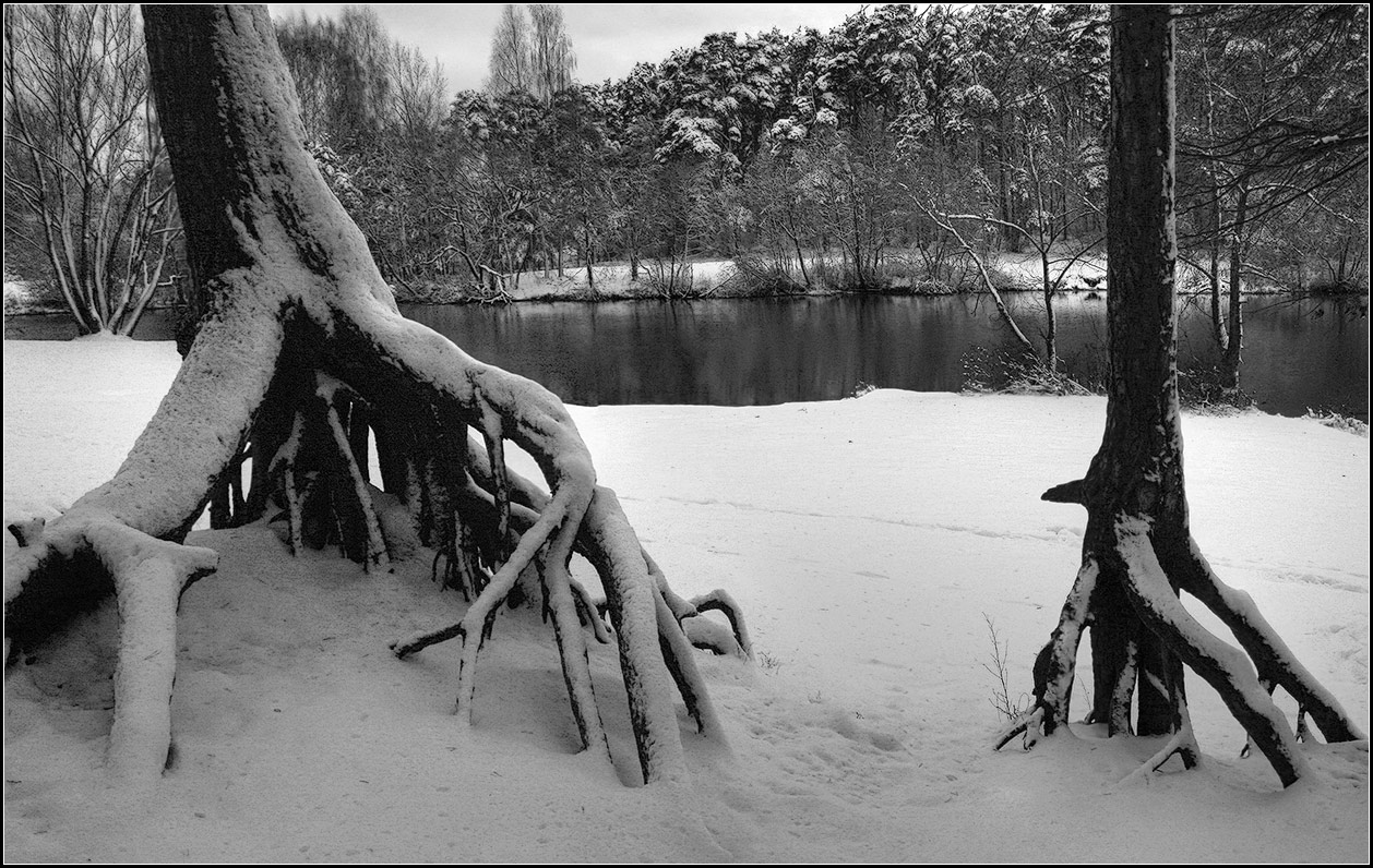 photo "couple" tags: nature, black&white, landscape, 