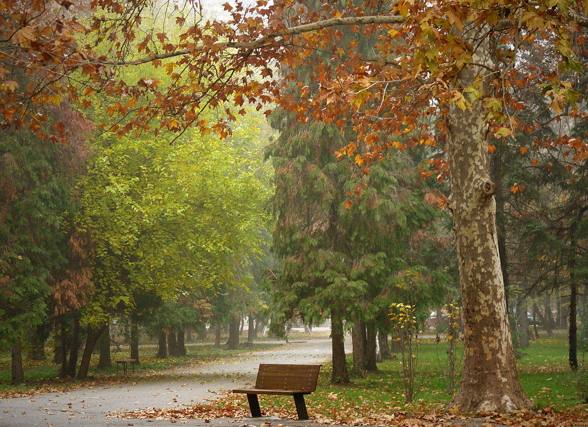 фото "***" метки: пейзаж, 