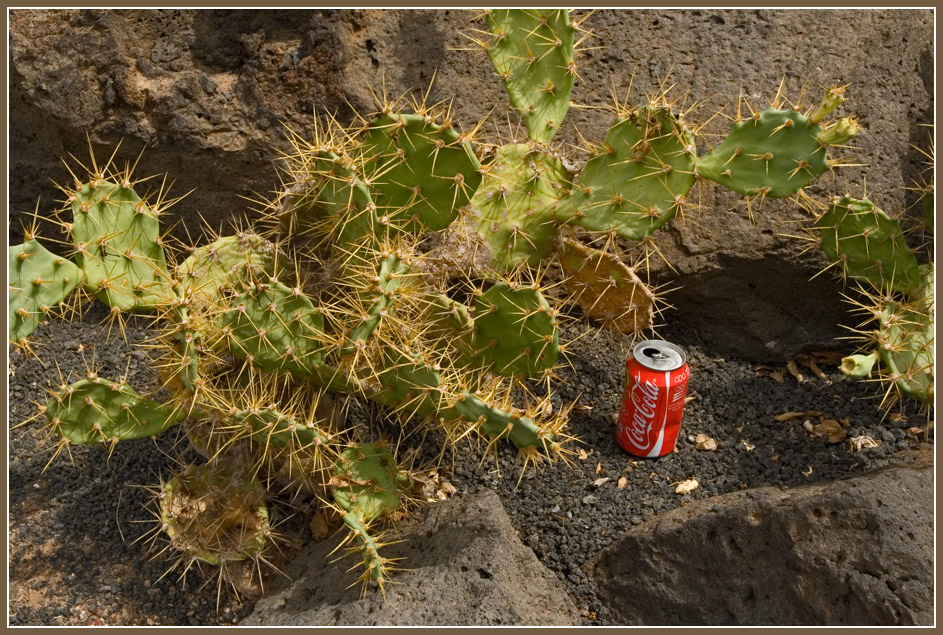 photo "world brand" tags: travel, still life, Cola, bot cactus, lanzarote, lava