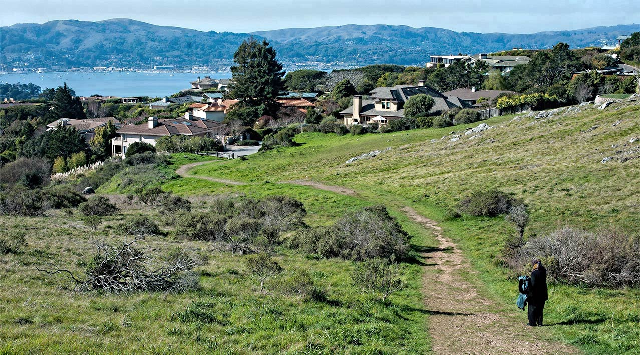 photo "The Hills of Tiburon Cal." tags: landscape, nature, travel, 