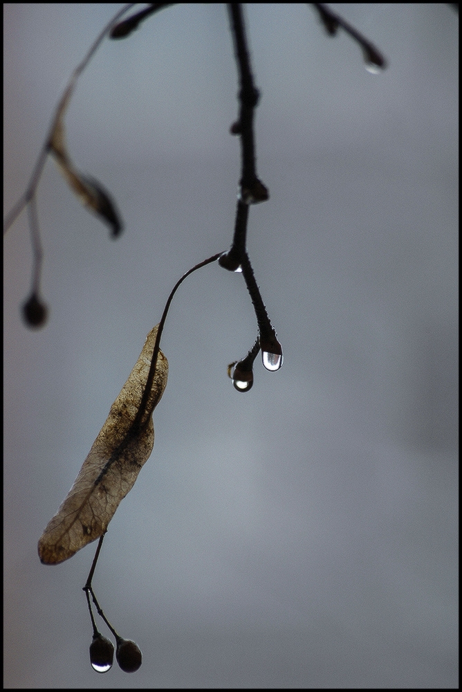 фото "Осень..." метки: природа, 