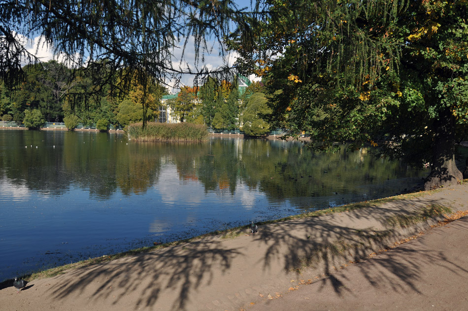 photo "***" tags: landscape, St. Petersburg, autumn, park