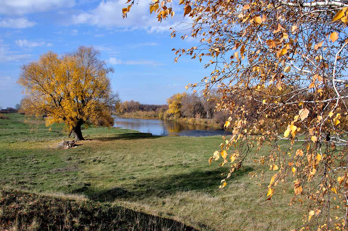 фото "Бабье лето" метки: пейзаж, 