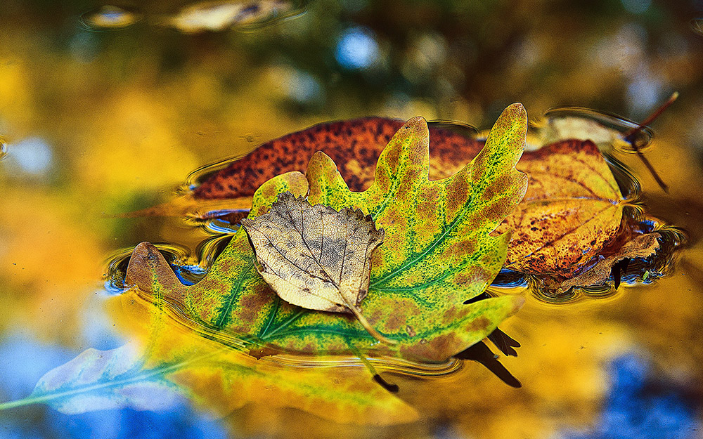 фото "***" метки: , 