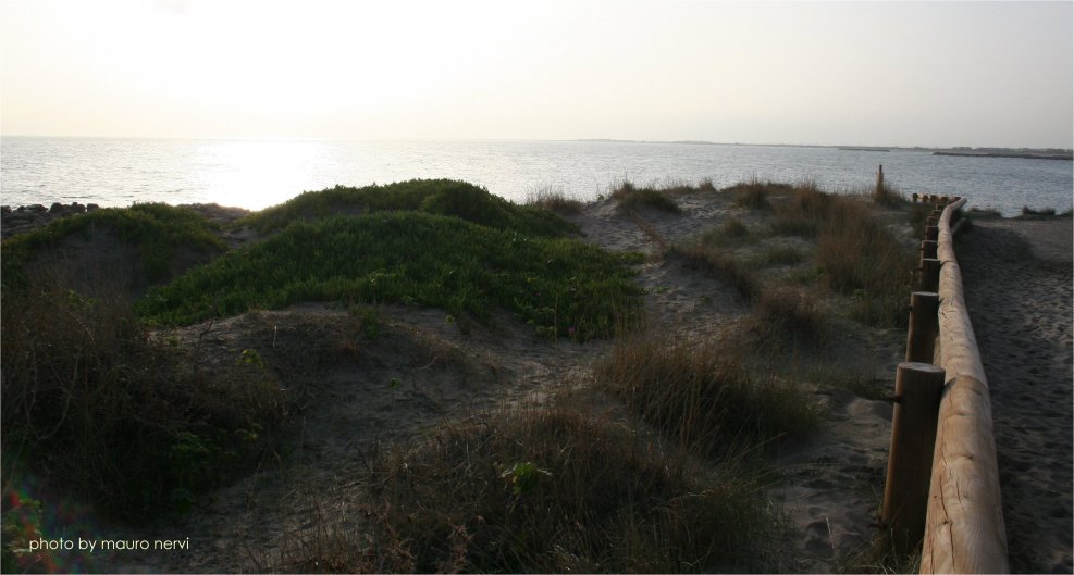 photo "beside the sea" tags: landscape, 