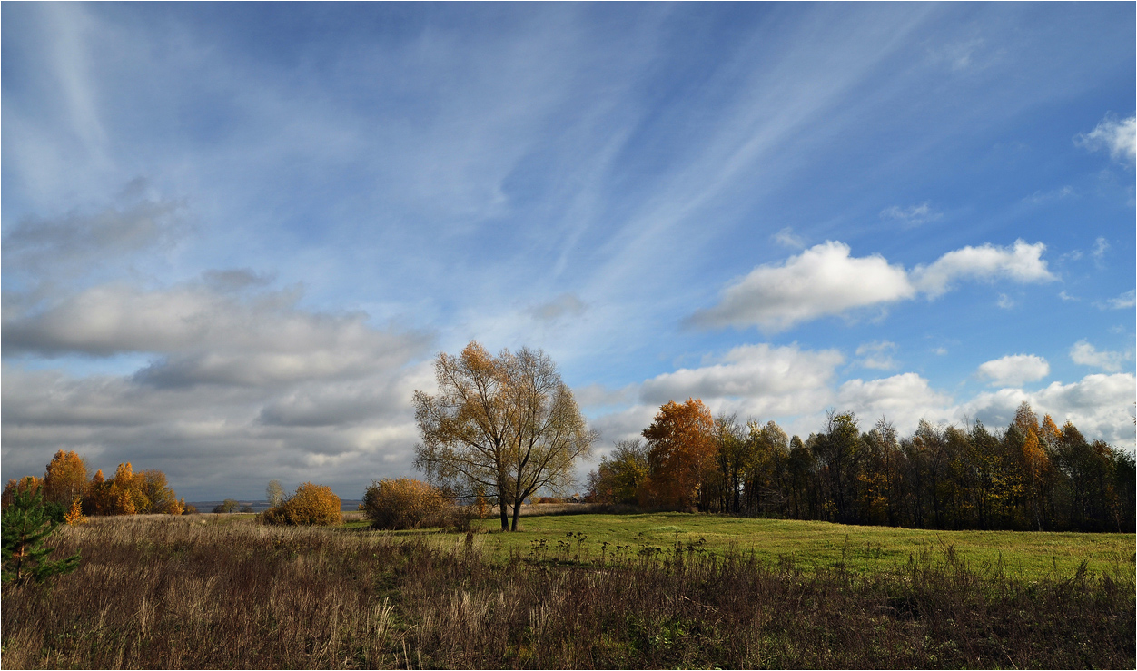 photo "***" tags: landscape, autumn, grass, деревья