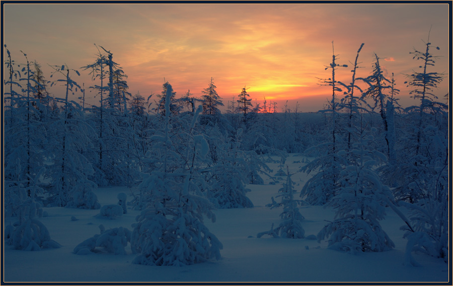 фото "Зимний вечер в Приполярье" метки: пейзаж, закат, зима, мороз, приполярье, тайга
