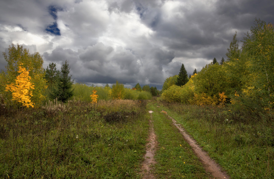 фото "Дорога в осенний лес" метки: пейзаж, дорога, колея, лес, осень, тучи