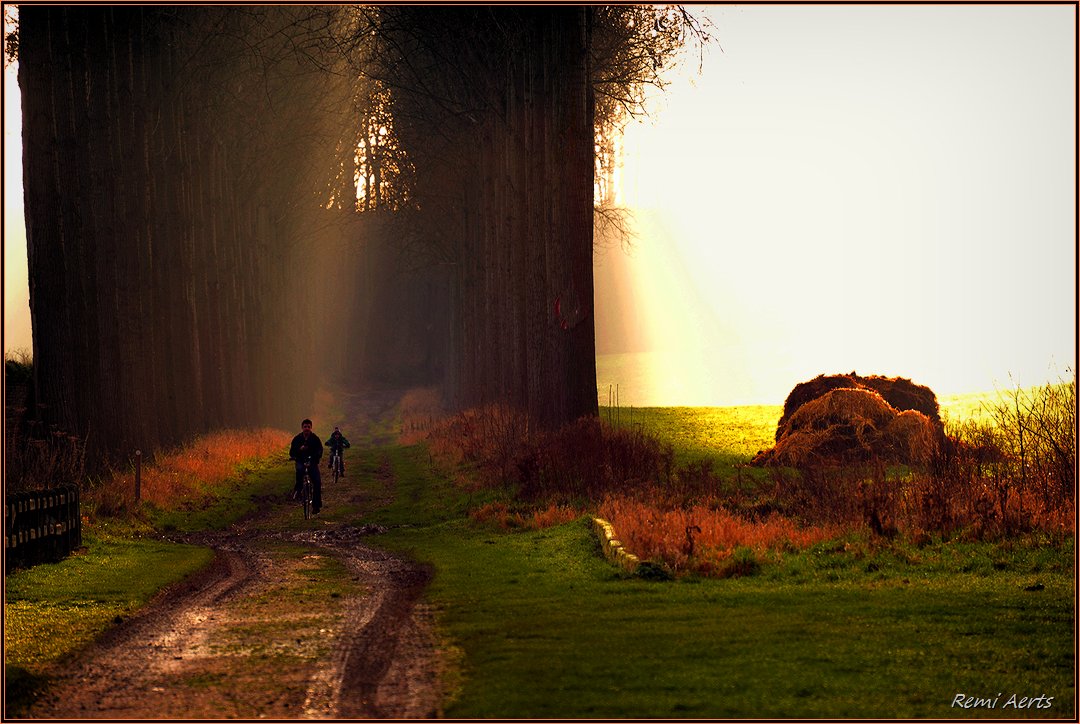 photo "***" tags: landscape, nature, street, fog, forest, sunrise
