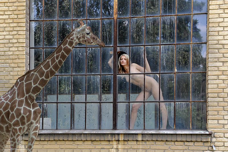 photo "Die Giraffe" tags: montage, nude, 