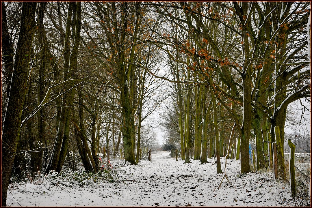 фото "***" метки: пейзаж, природа, зима