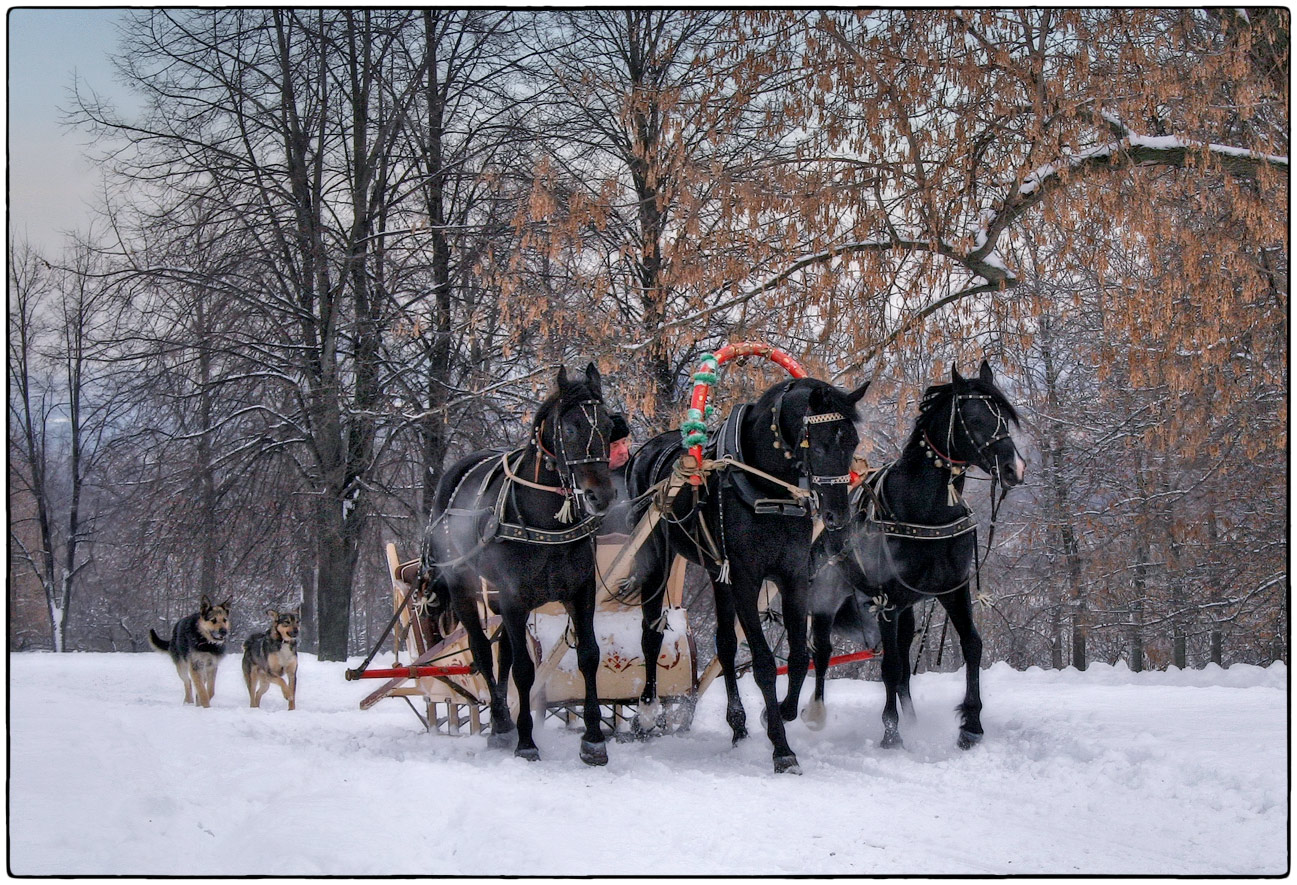 фото "C Новым Годом!" метки: природа, разное, жанр, 