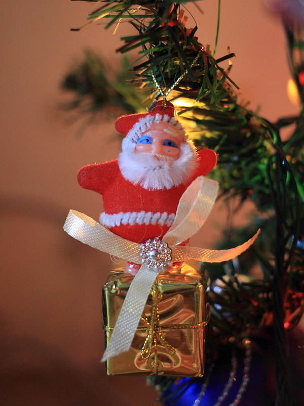 фото "С Новым годом! :-))" метки: макро и крупный план, разное, Новый Год, Санта-Клаус, дед мороз, праздник