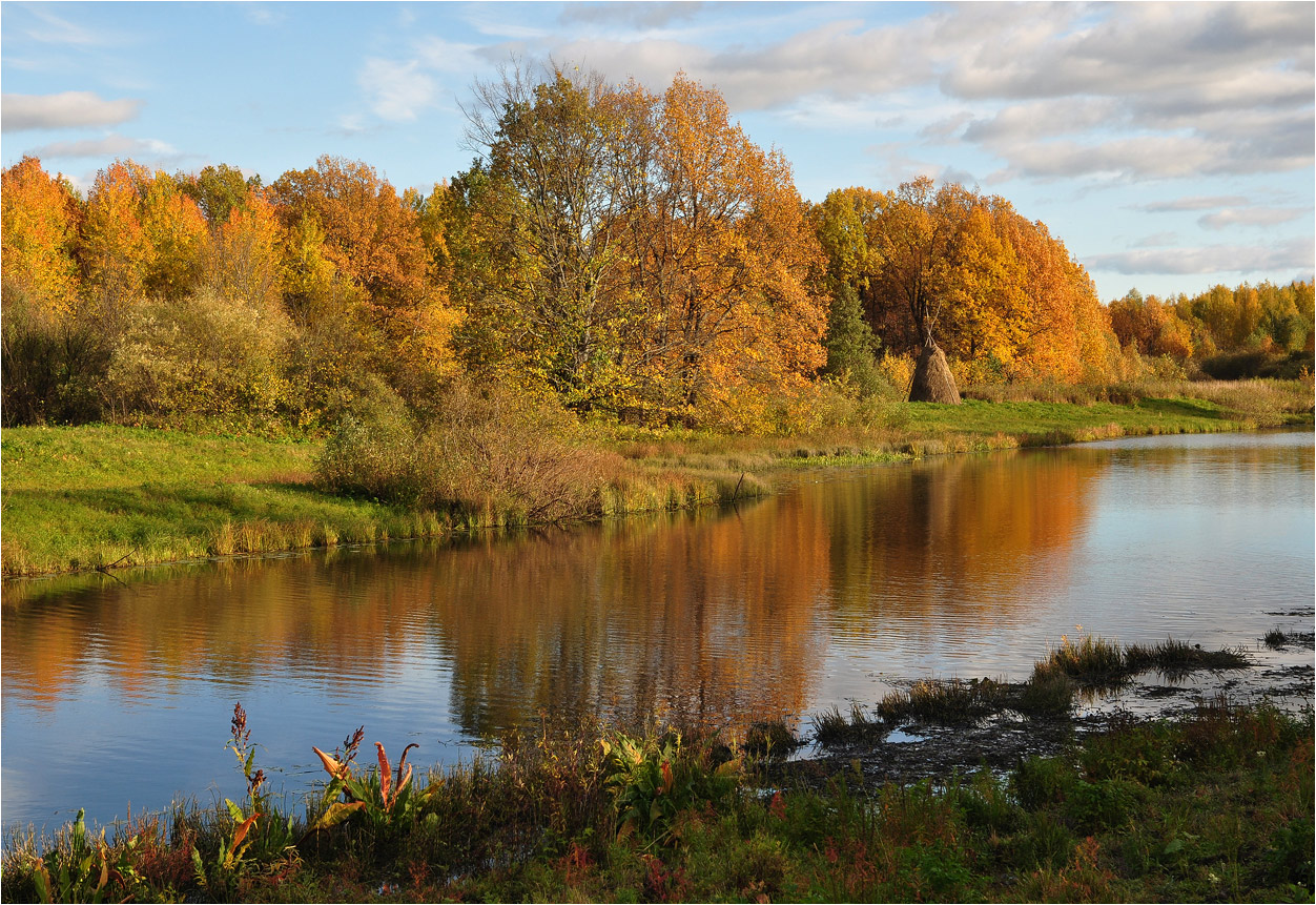 photo "***" tags: landscape, autumn, forest, river, water, деревья, сенокос