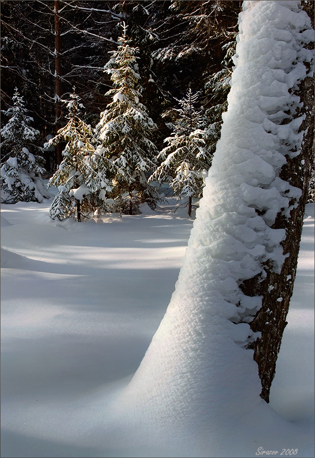 photo "Winter sketch" tags: landscape, 