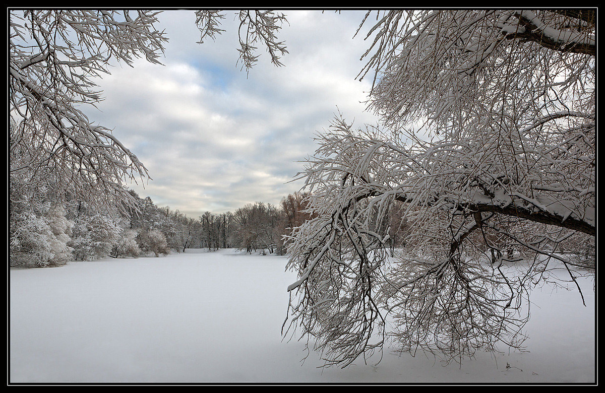 фото "Снежное покрывало Щучьего пруда" метки: пейзаж, 