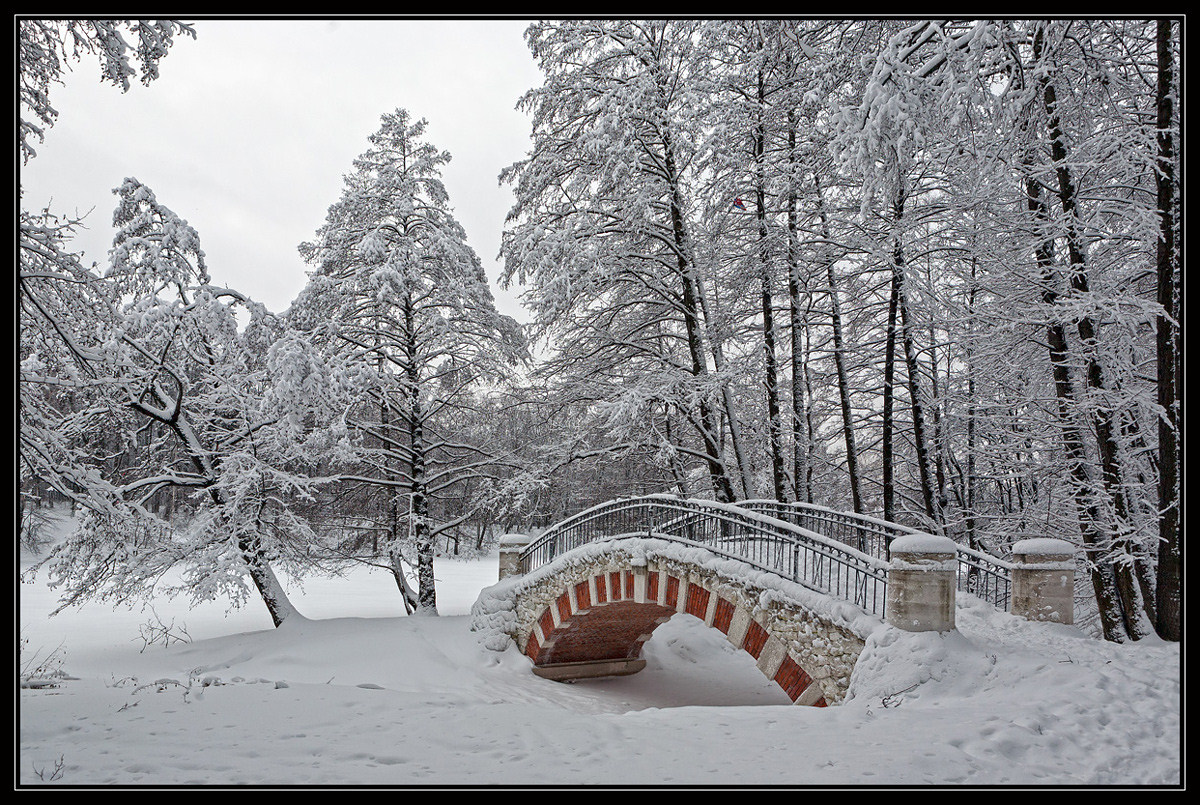 photo "From the series "Winter in the park Kuz'minki"" tags: landscape, architecture, 