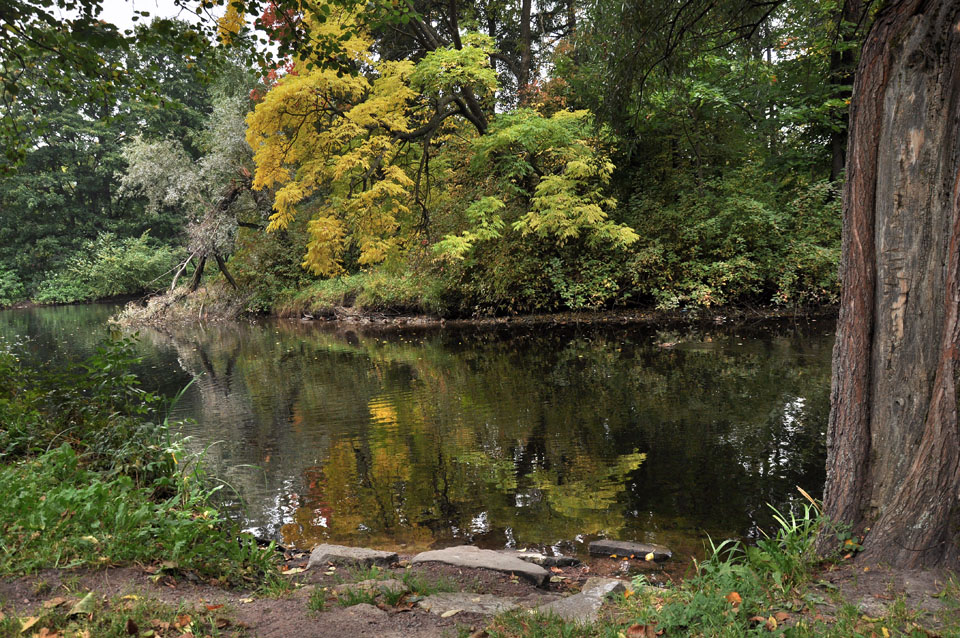 photo "***" tags: landscape, St. Petersburg, park