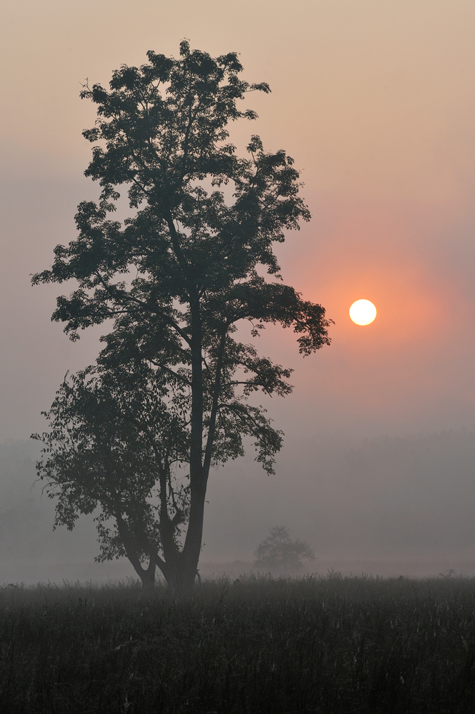 фото "July morning" метки: пейзаж, путешествия, 