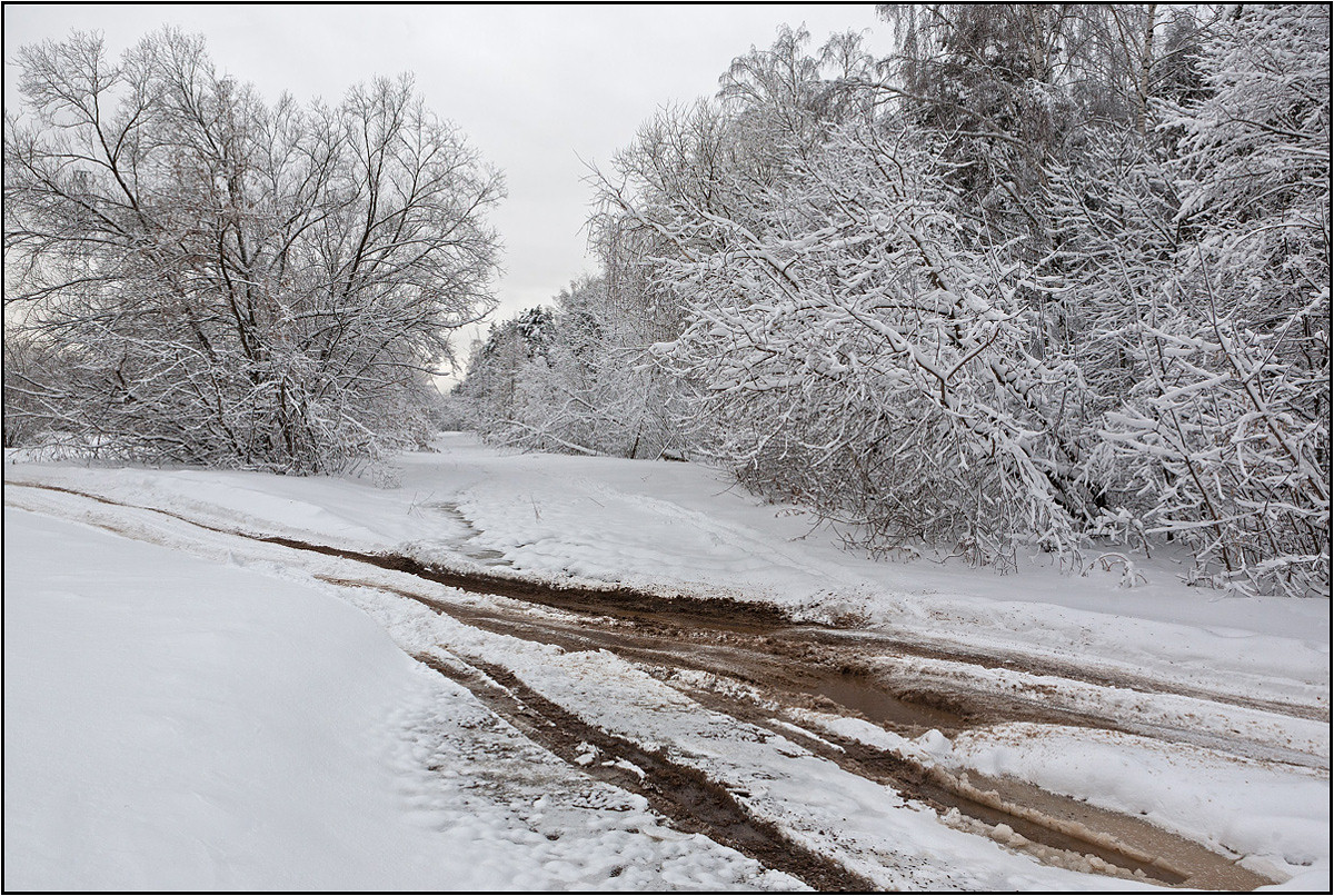photo "Way in the first snow" tags: landscape, 