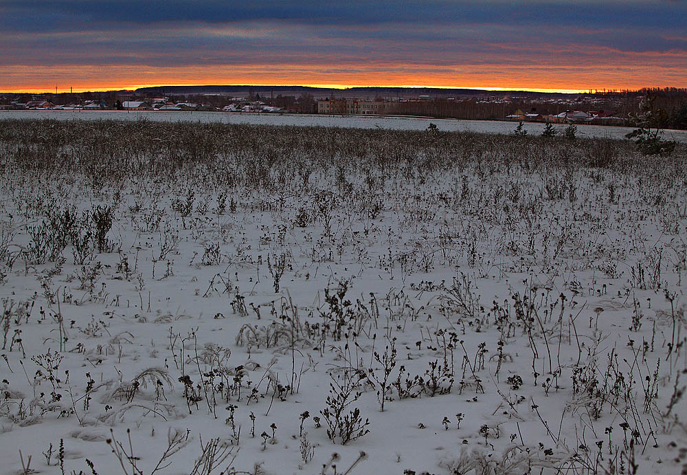 фото "Восход солнца над заснеженным полем" метки: природа, пейзаж, Восход, снег, солнце, стебли, сухие
