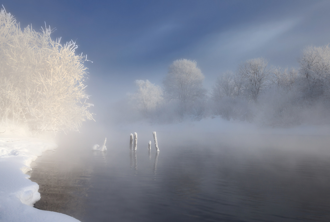 photo "***" tags: landscape, fog, hoarfrost, snow, water, winter, Речка, бревнышки, деревья, мороз