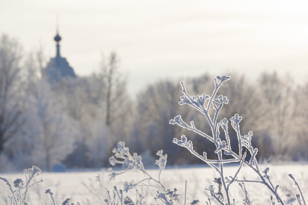 фото "***" метки: пейзаж, деревня, зима, иней, мороз, снег, церковь