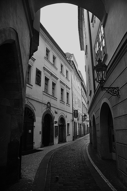 фото "Yлочка" метки: черно-белые, Prag, Praha, Прага