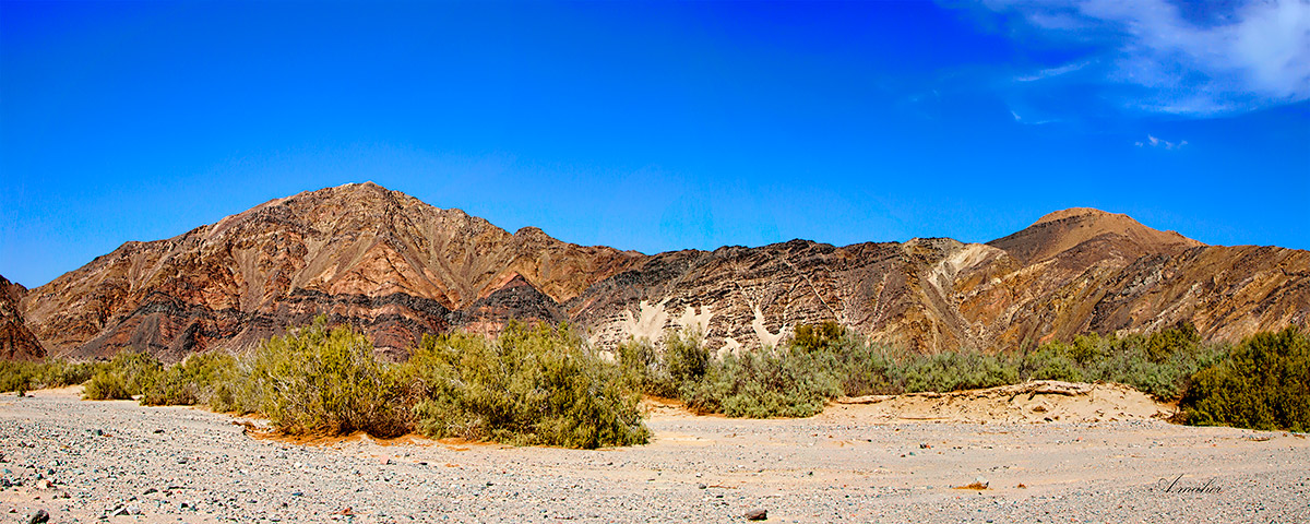 photo "***" tags: landscape, Landscape