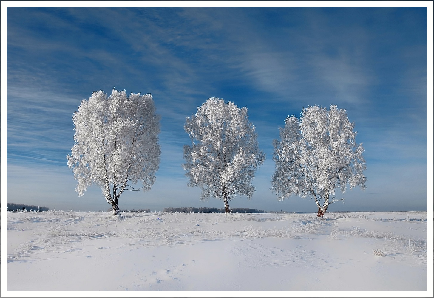 фото "Три красавицы в зимнем наряде))" метки: пейзаж, зима