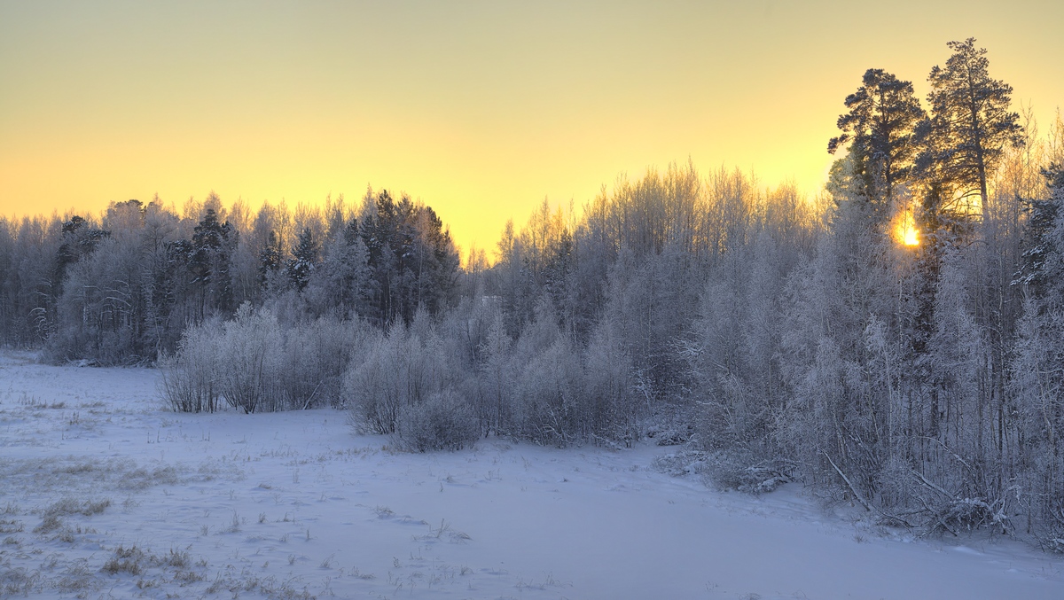 photo "***" tags: nature, landscape, evening, snow, winter, мороз