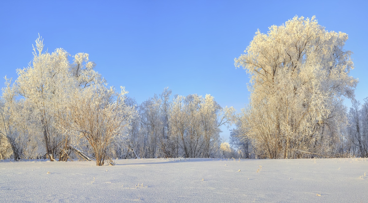 photo "***" tags: landscape, winter, день, мороз