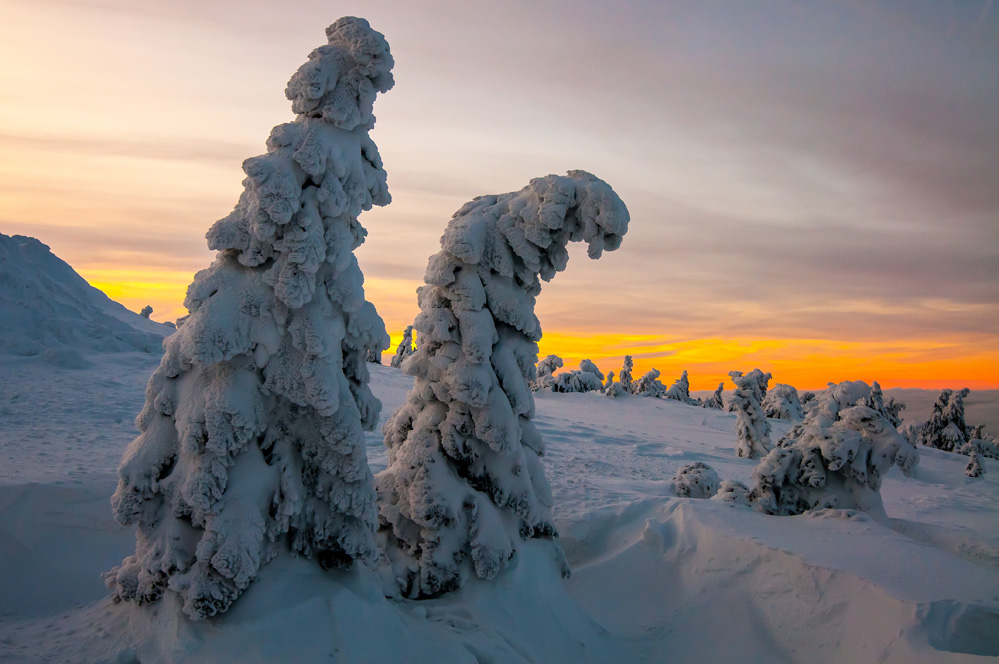 photo "Am Brocken" tags: landscape, Europe, mountains, night, sunset, winter