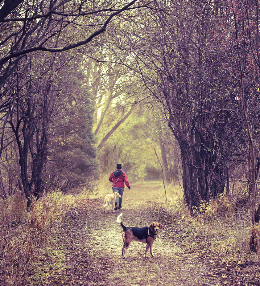 photo "Once upon a fall" tags: misc., 